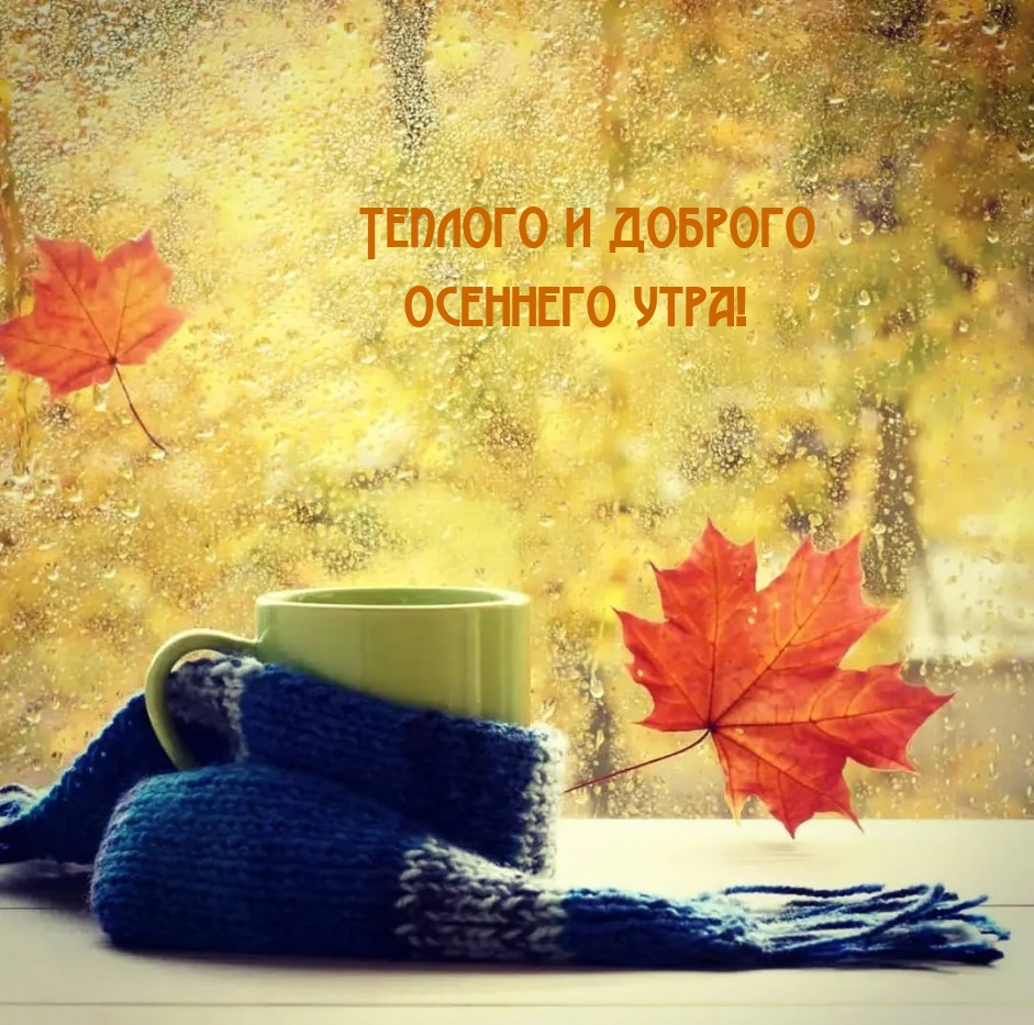 Теплого и доброго осеннего утра!