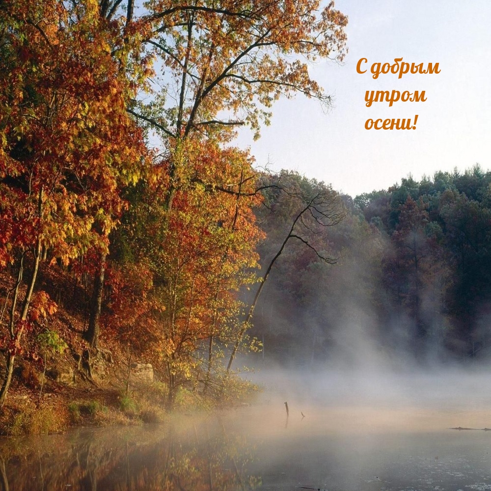 С добрым утром осени!