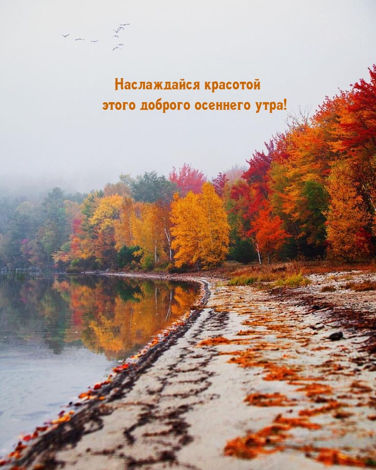 Наслаждайся красотой этого доброго осеннего утра!