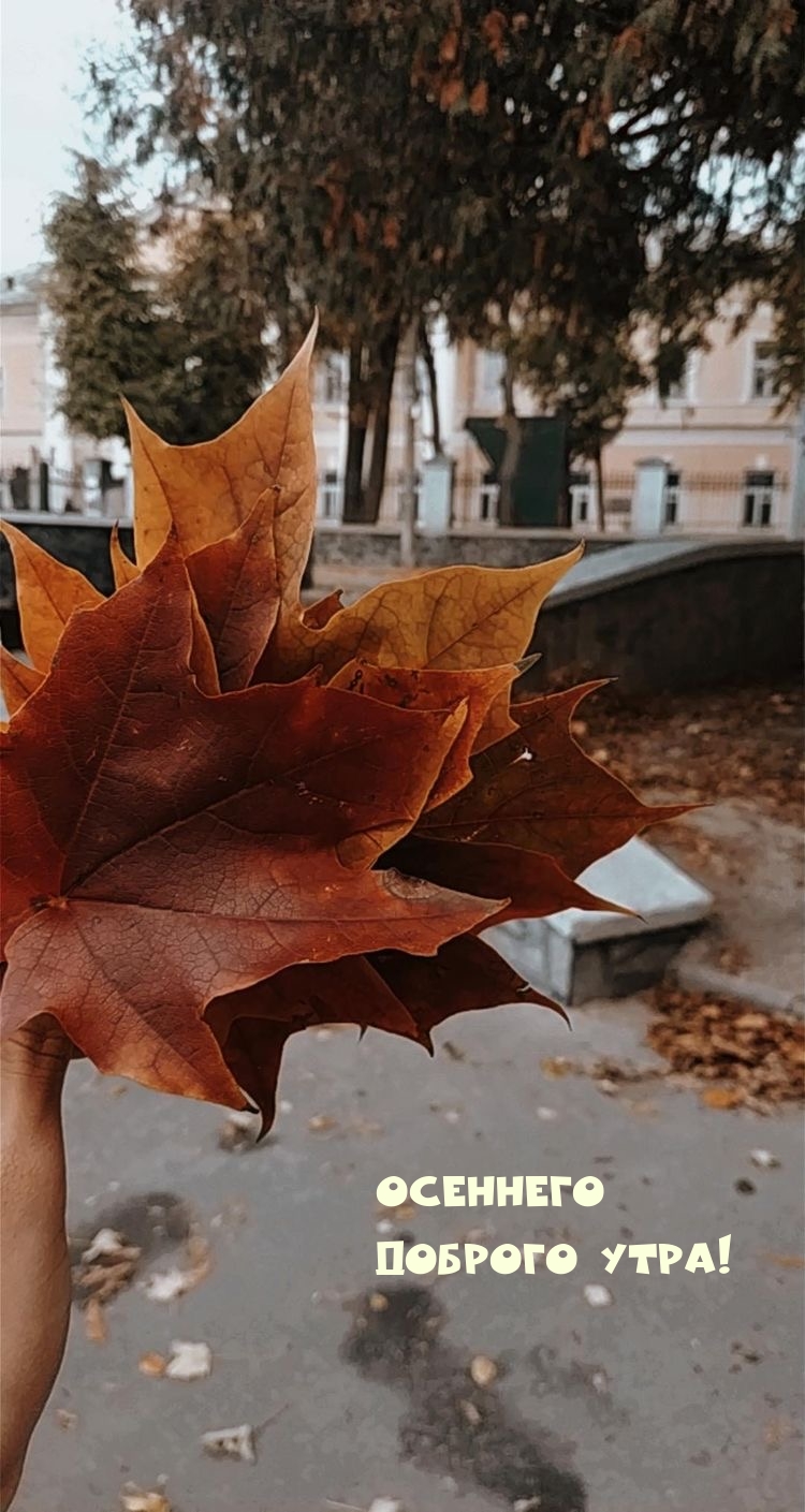 Осеннего доброго утра!
