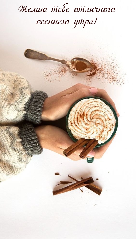 Желаю тебе отличного осеннего утра!