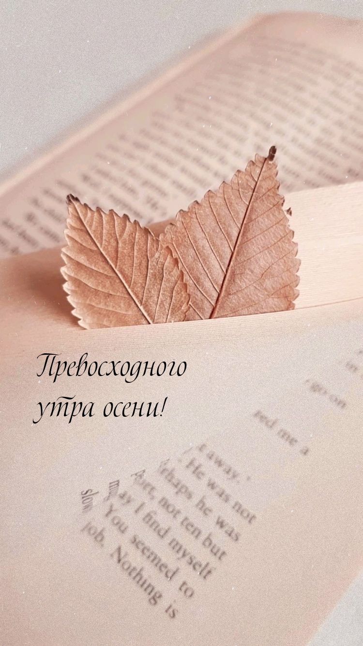 Превосходного утра осени!