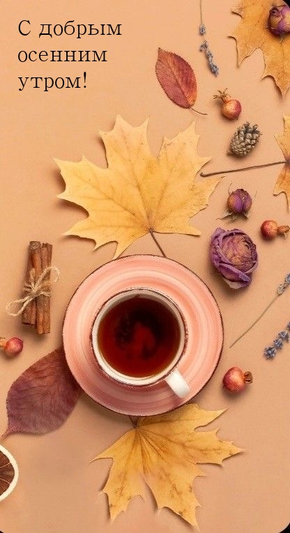 С добрым осенним утром!