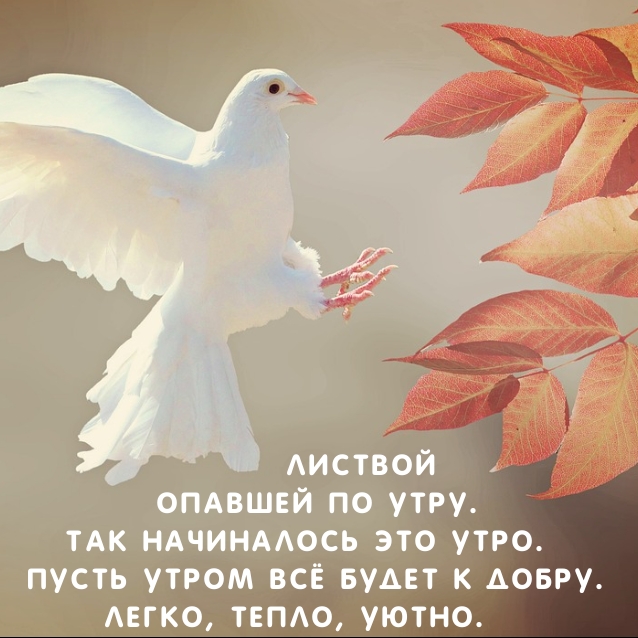 Листвой опавшей по утру. Так начиналось это утро.