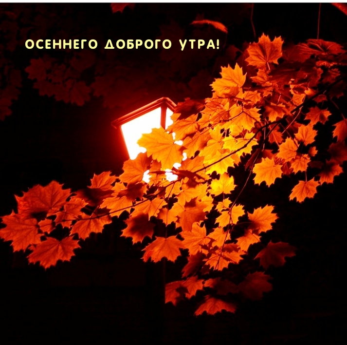 Осеннего доброго утра!