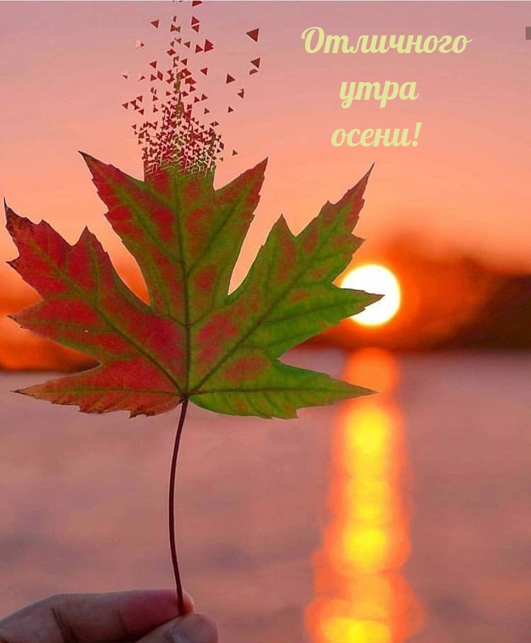 Отличного утра осени!