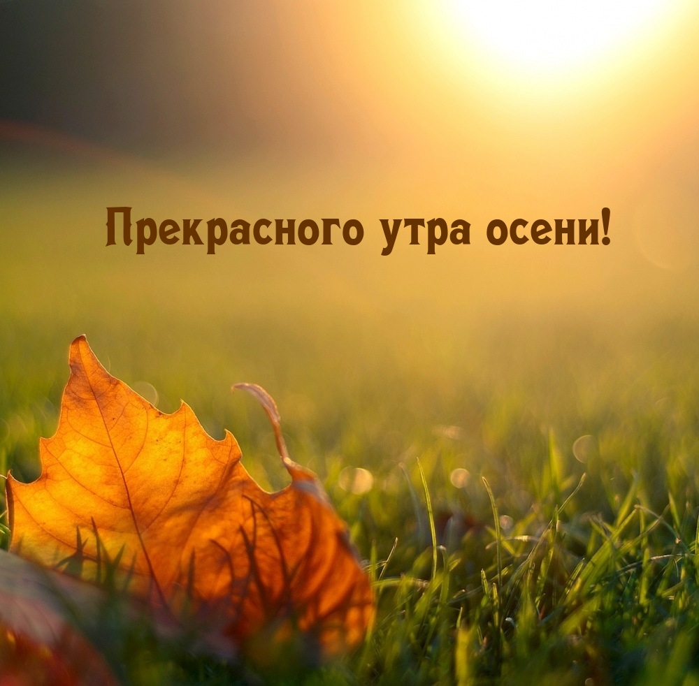 Прекрасного утра осени!