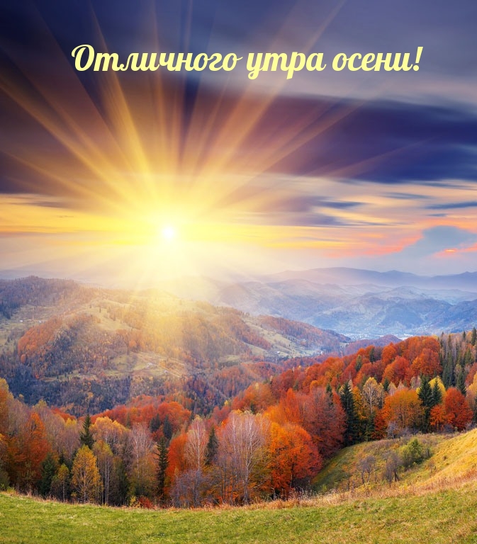 Отличного утра осени!