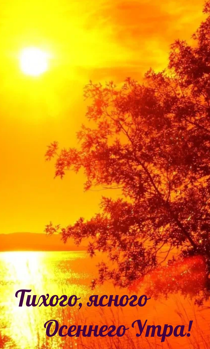 Тихого, ясного осеннего Утра!