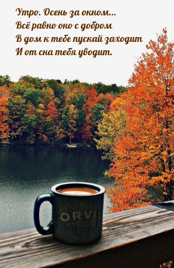 Утро. Осень за окном... Всё равно оно с добром