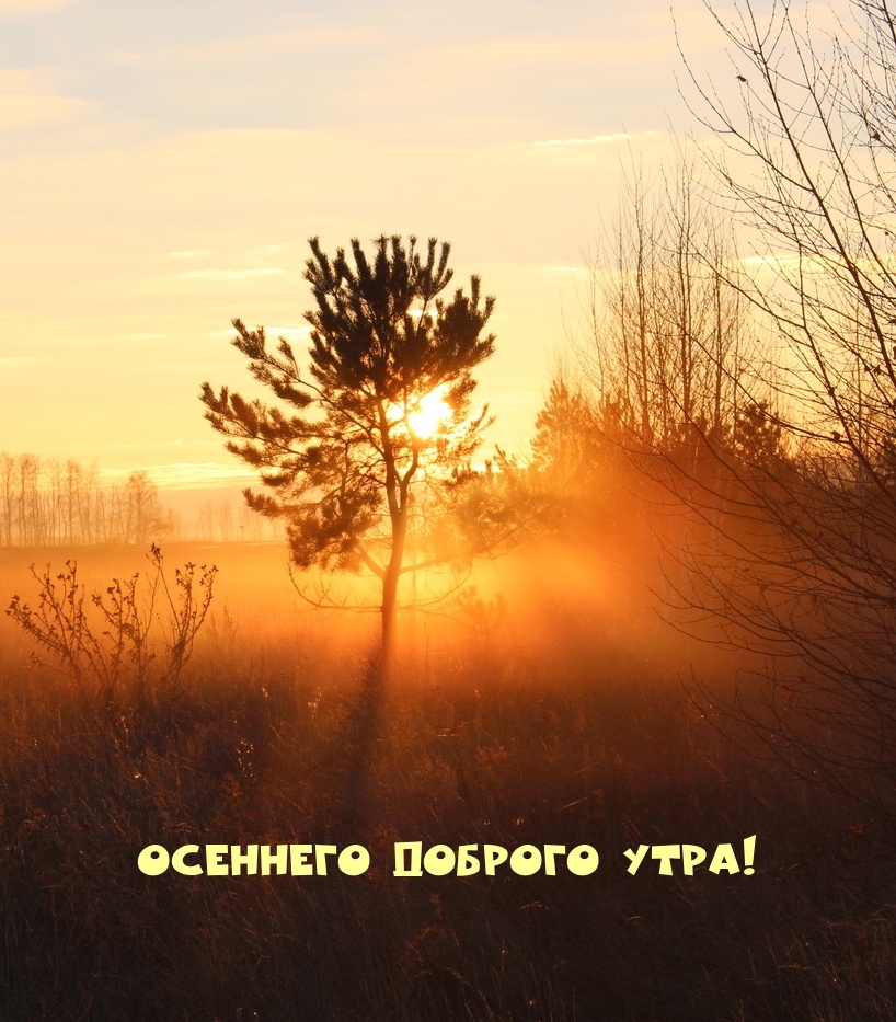 Осеннего доброго утра!