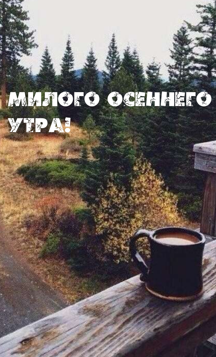 Милого осеннего Утра!