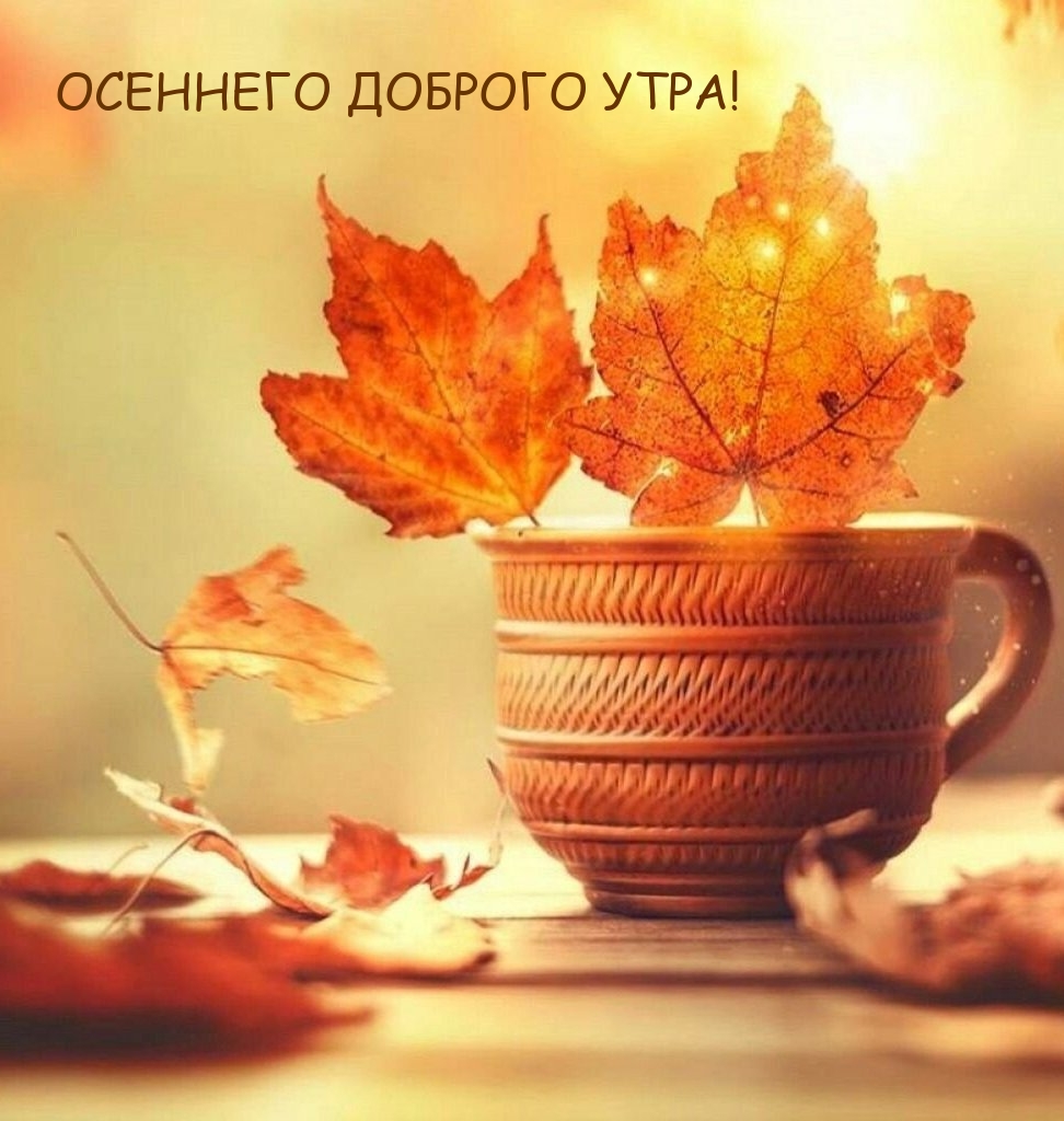 Осеннего доброго утра!