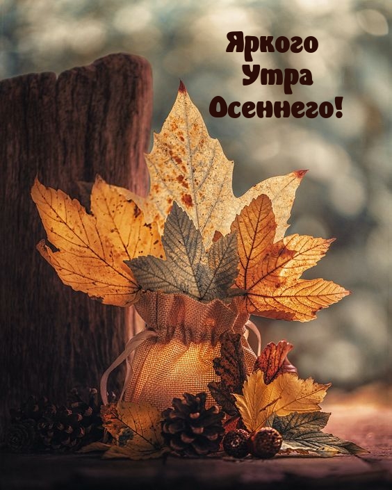 Яркого Утра Осеннего!