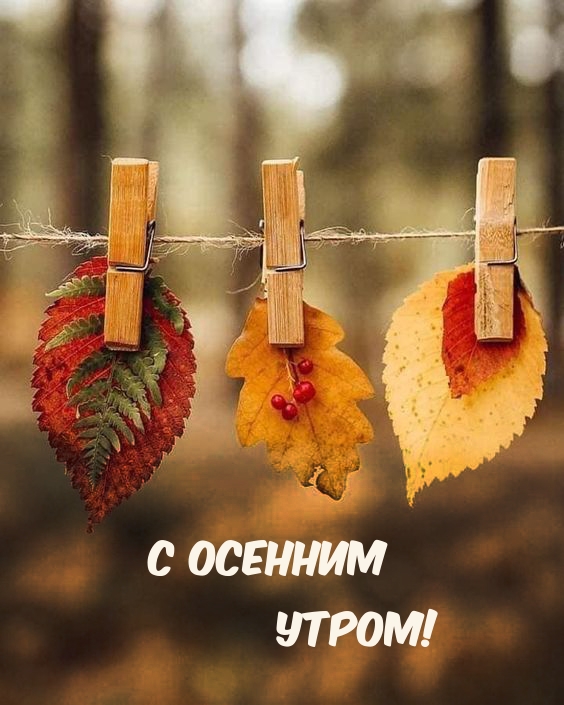 С осенним Утром!