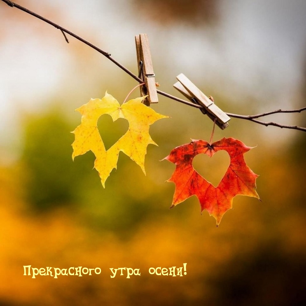 Прекрасного утра осени!
