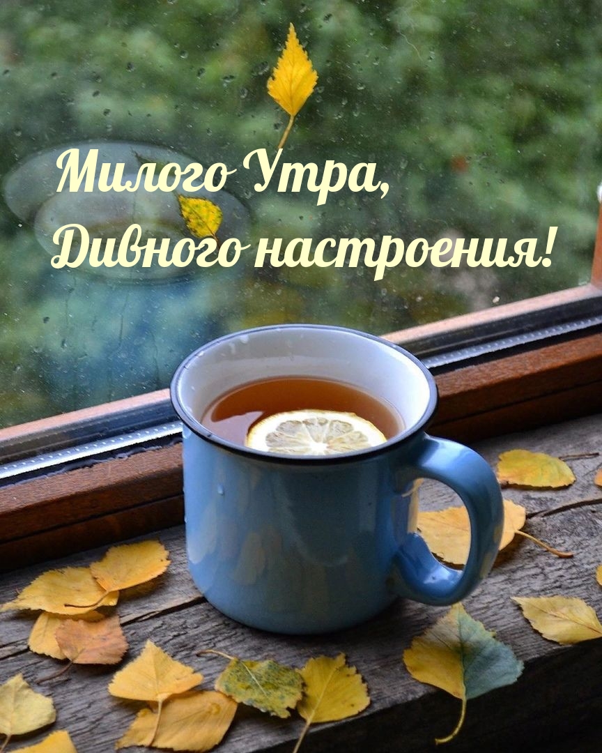 Милого Утра, Дивного настроения!