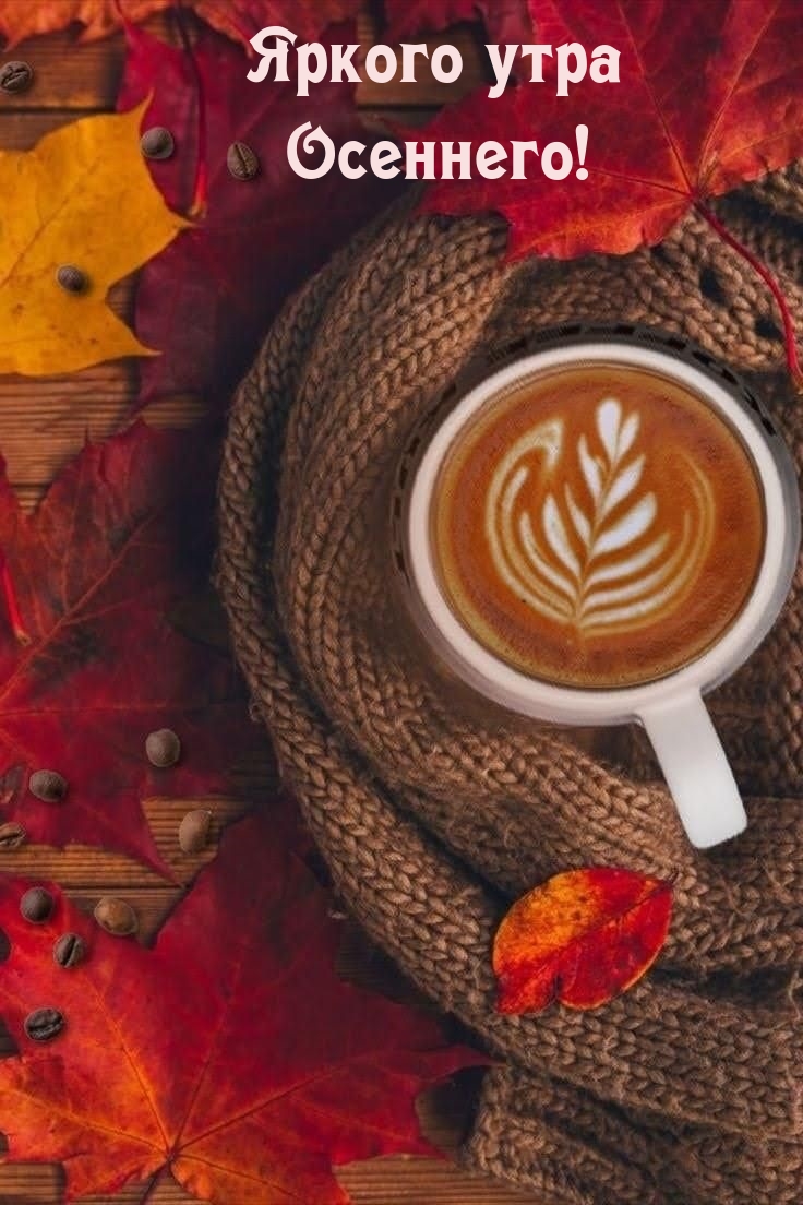 Яркого утра Осеннего!