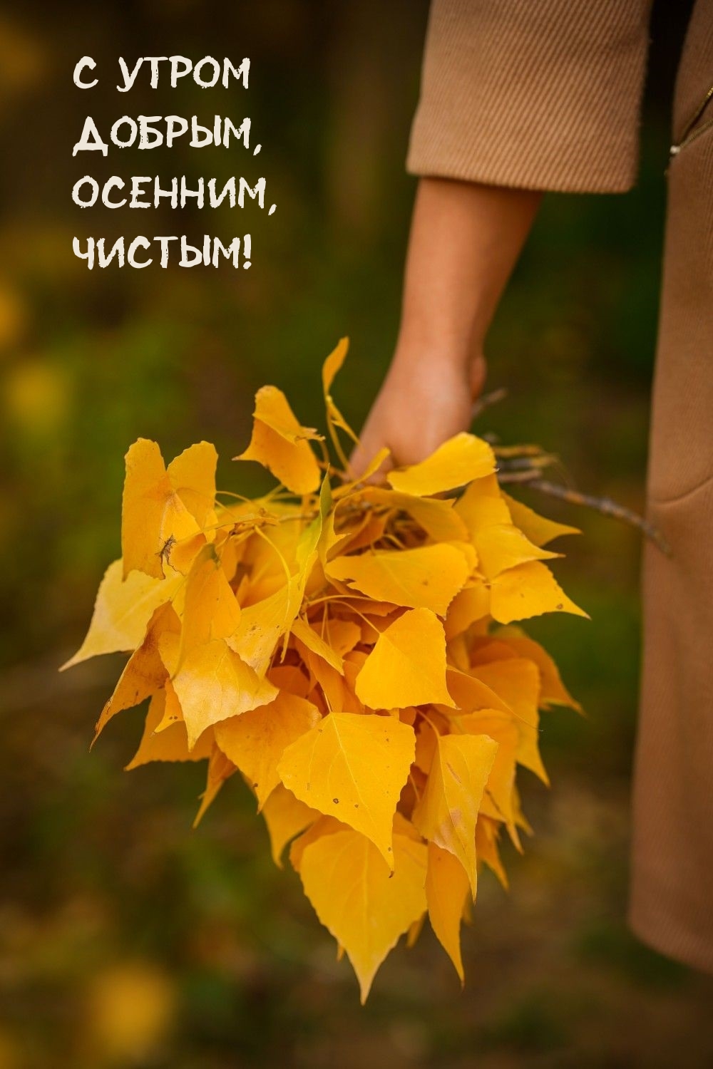 С утром Добрым, Осенним, Чистым!