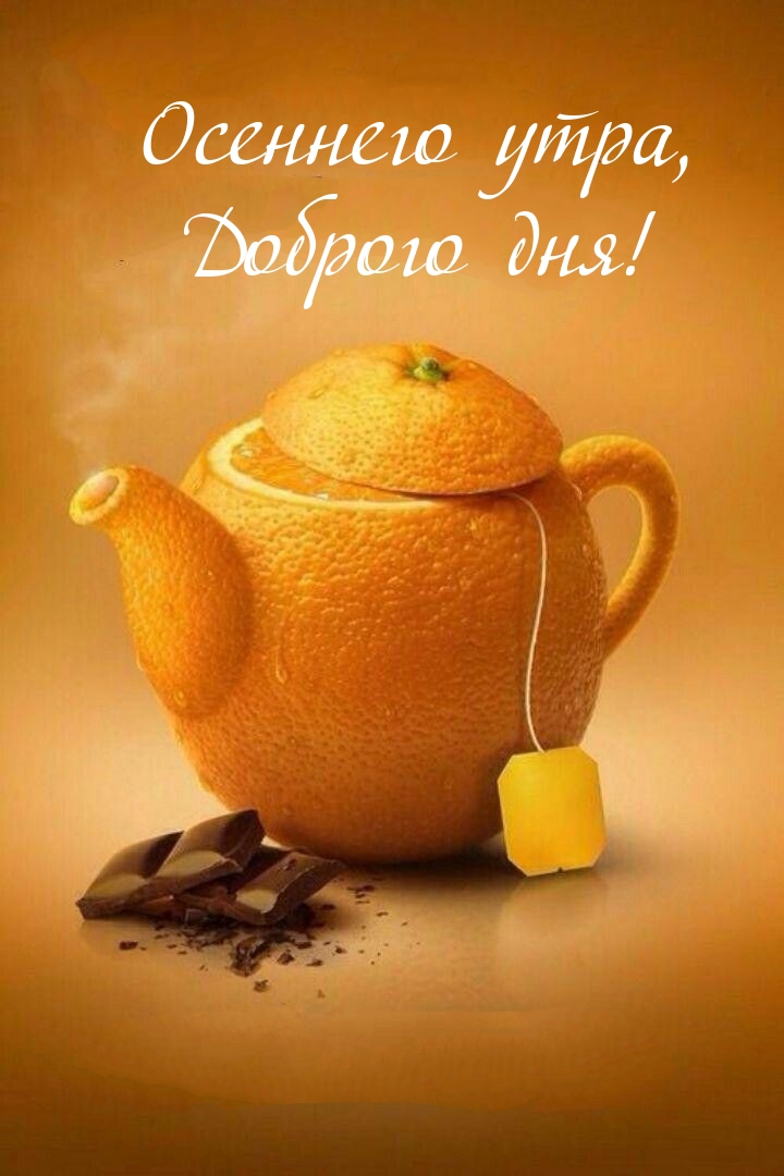 Осеннего утра, Доброго дня!