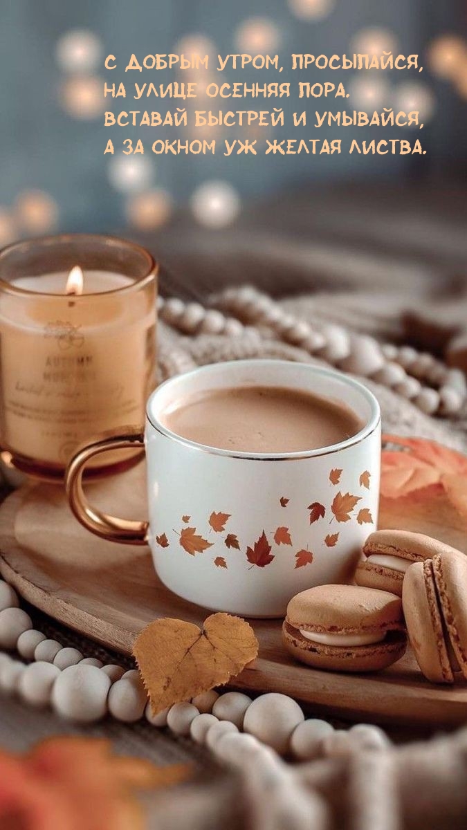 С добрым утром, просыпайся, на улице осенняя пора.