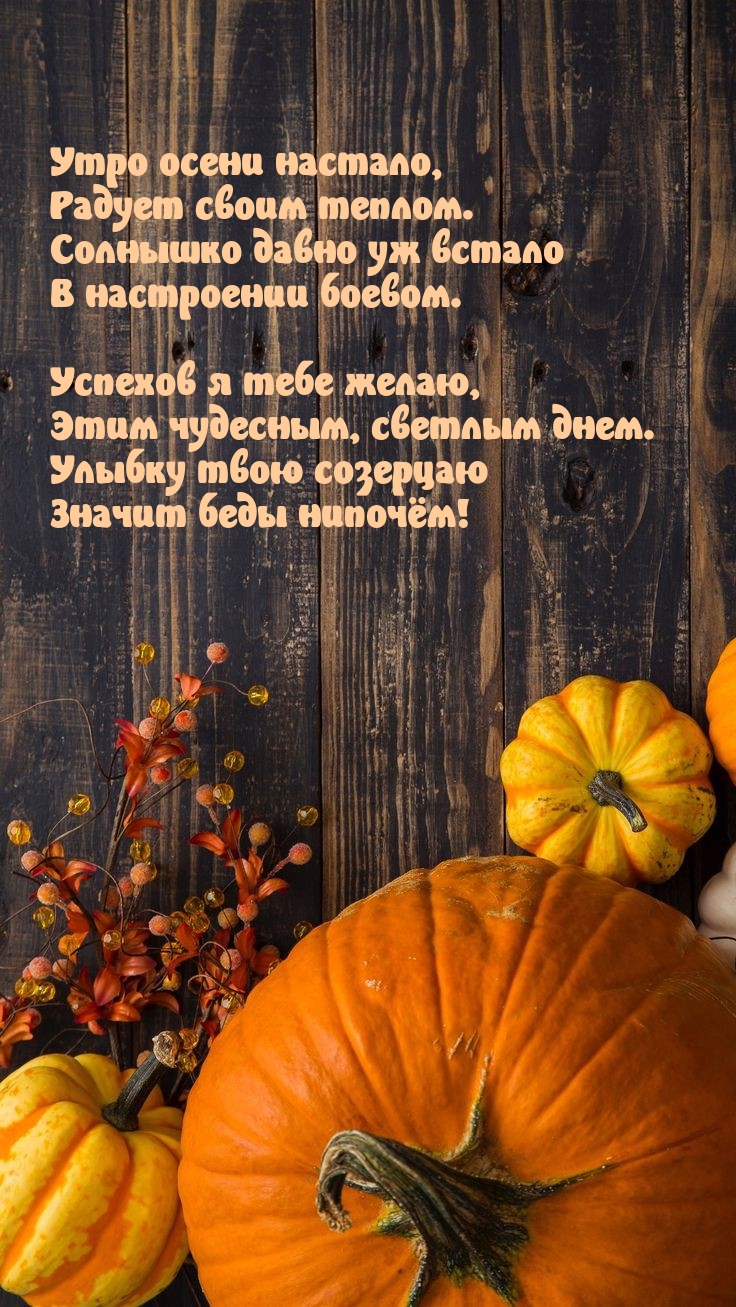 Утро осени настало, радует своим теплом.