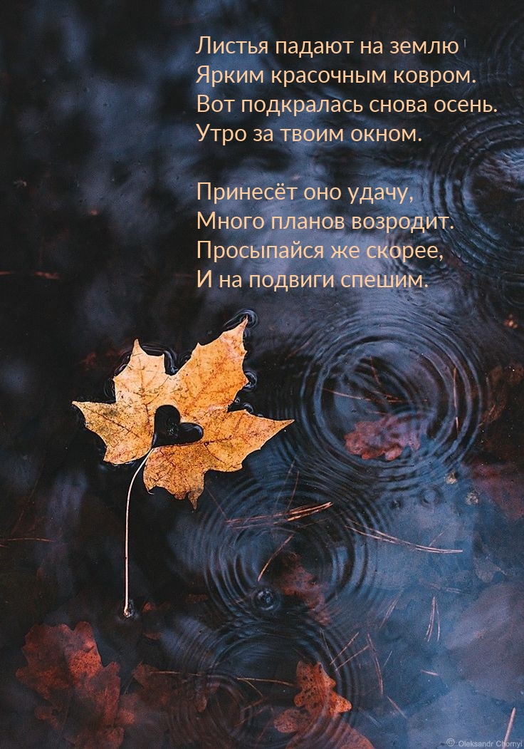 Листья падают на землю ярким красочным ковром.