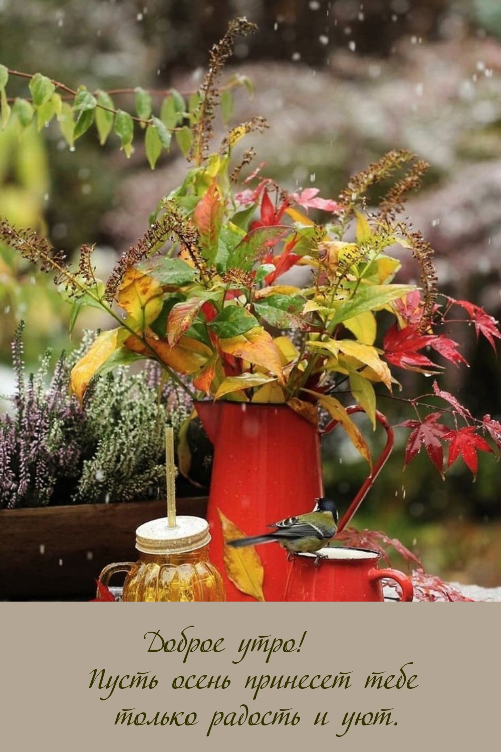 Доброе утро! Пусть осень принесет тебе только радость и уют.