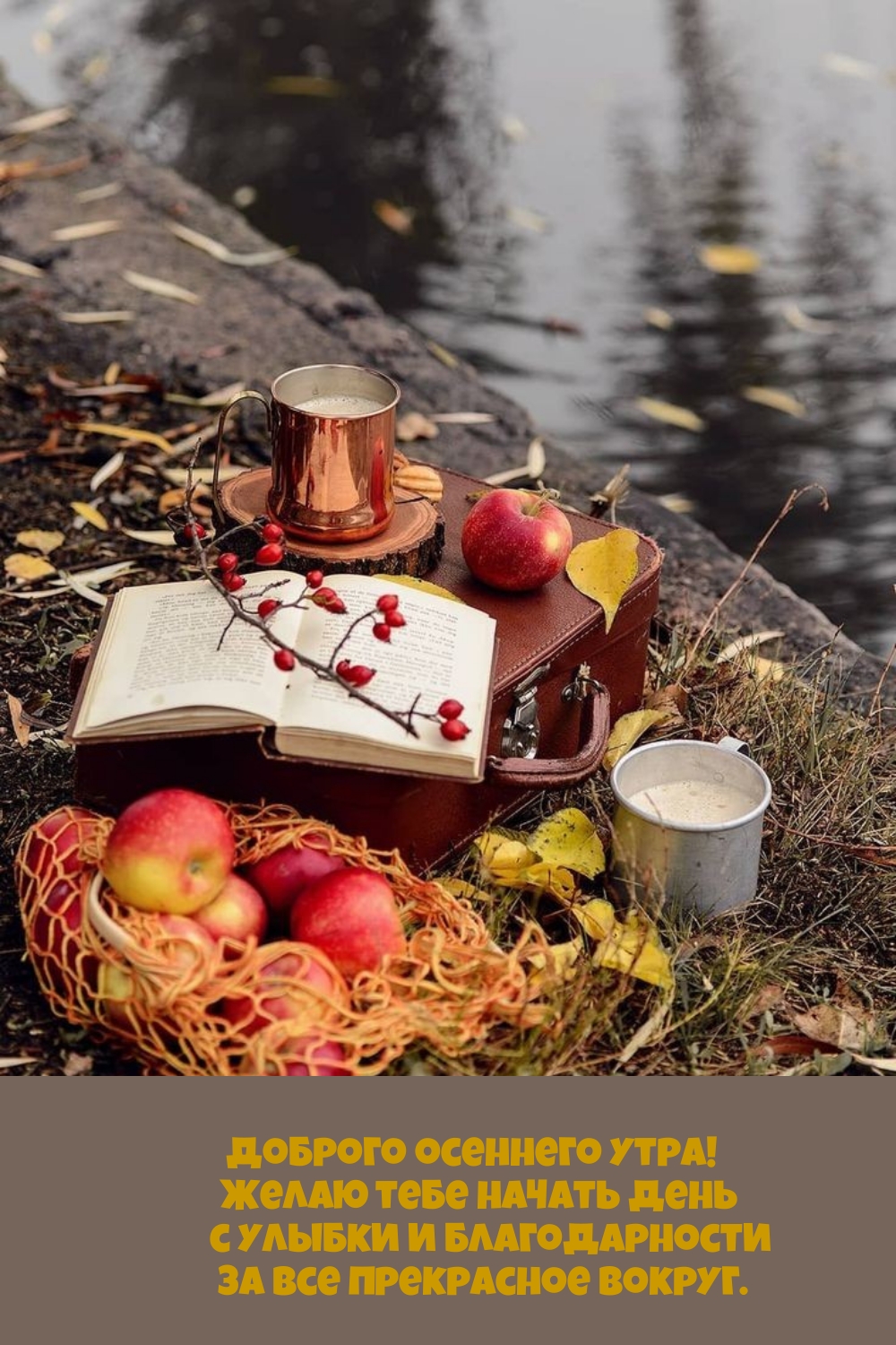 Доброго осеннего утра! Желаю тебе начать день с улыбки 