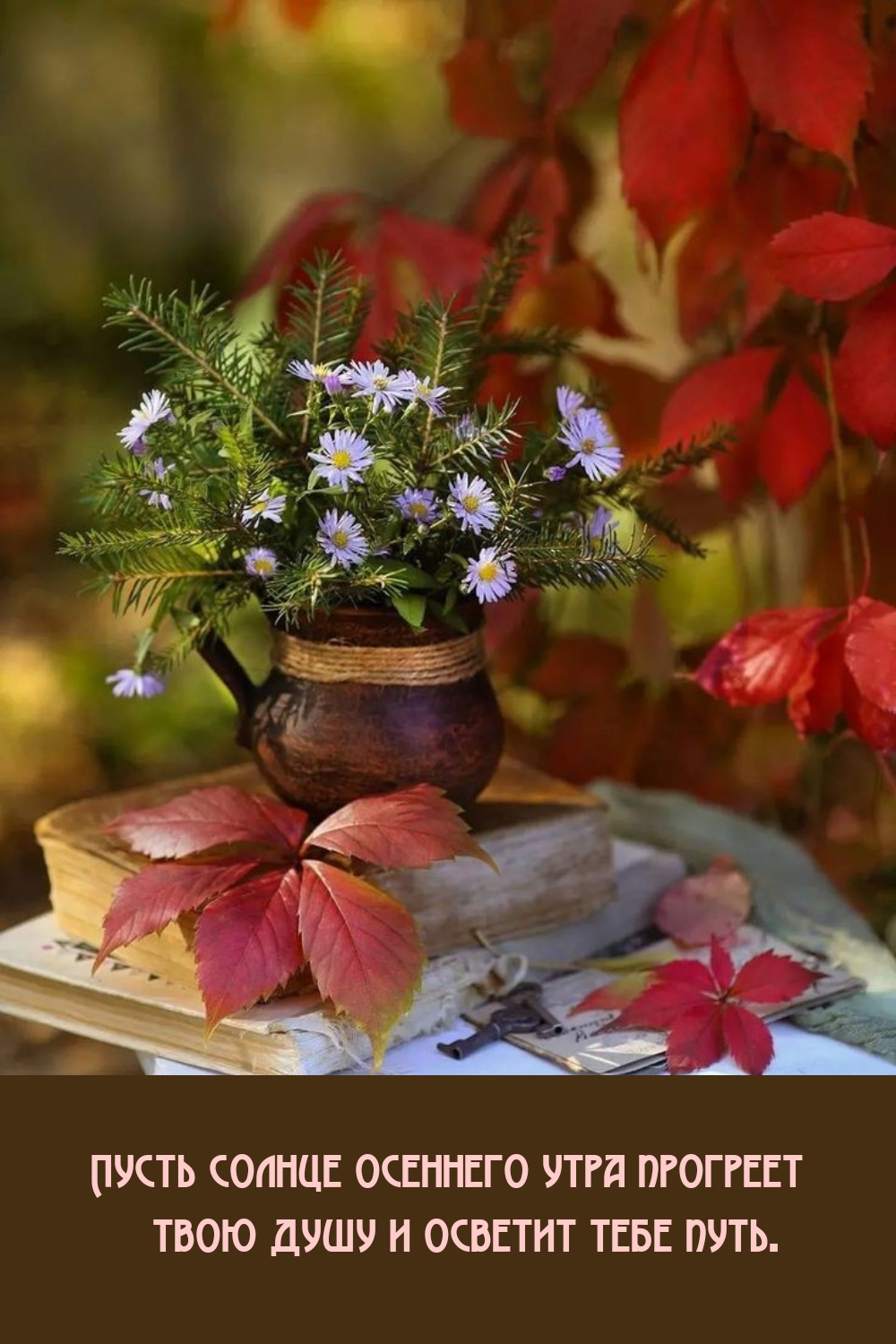 Пусть солнце осеннего утра прогреет душу и осветит тебе путь.