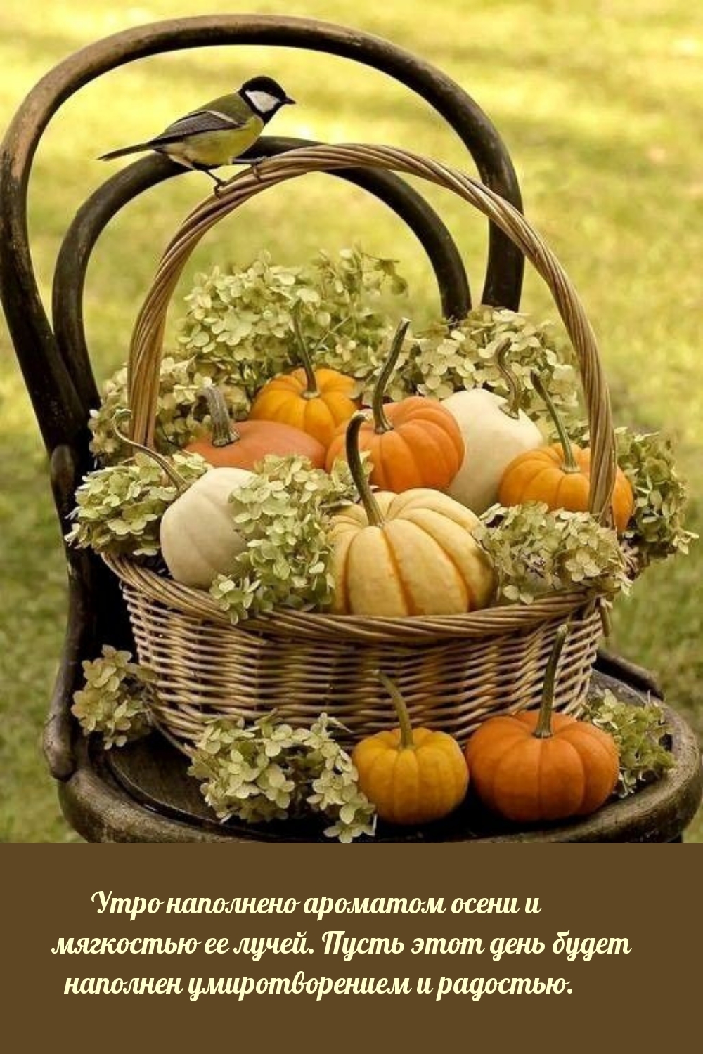 Утро наполнено ароматом осени и мягкостью ее лучей.