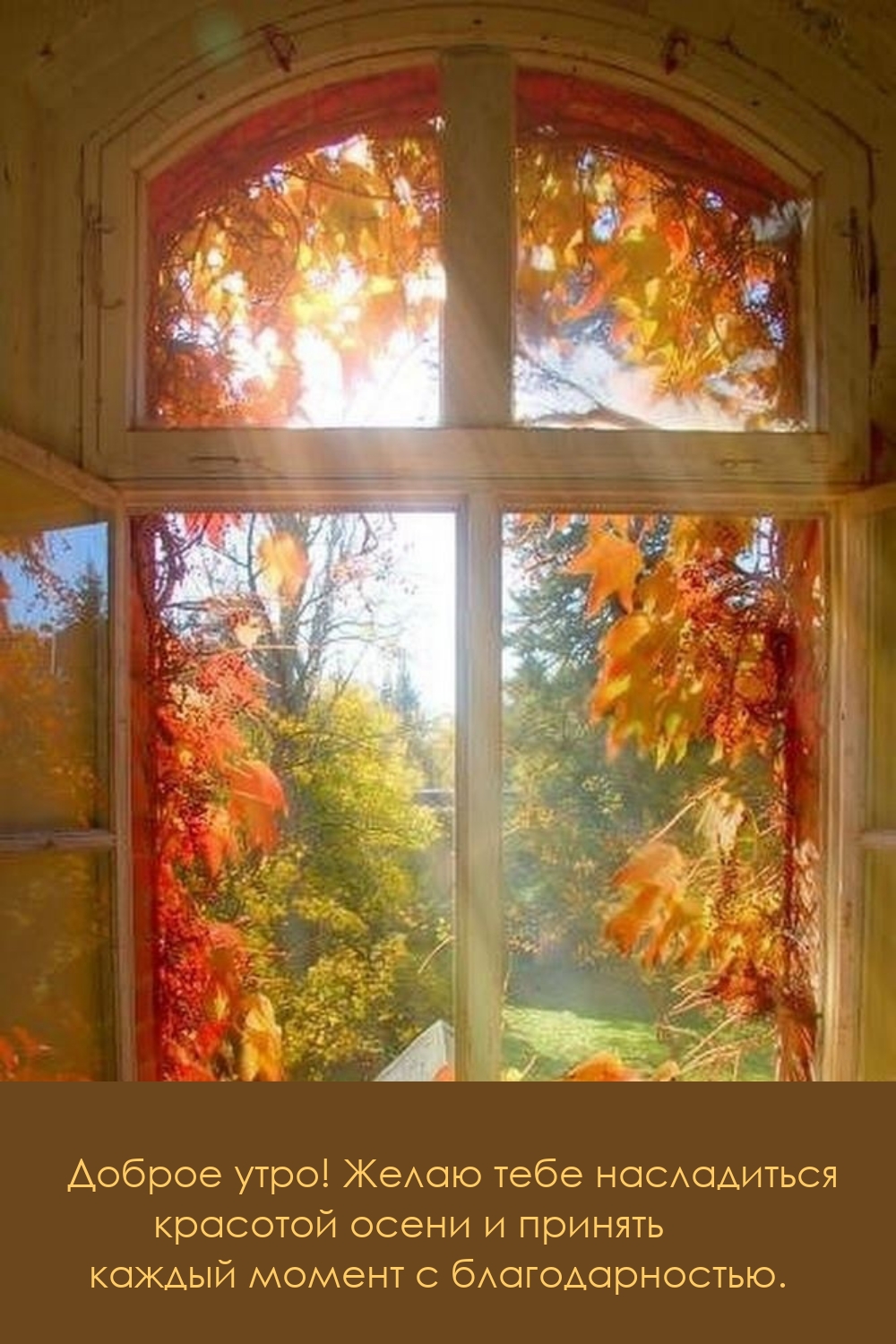 Доброе утро! Желаю тебе насладиться красотой осени 