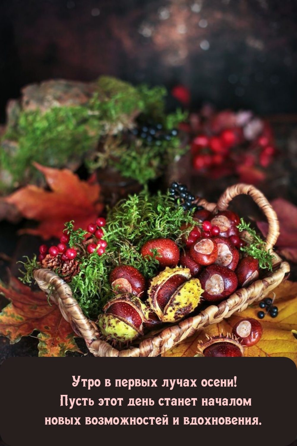 Пусть этот день станет началом новых возможностей