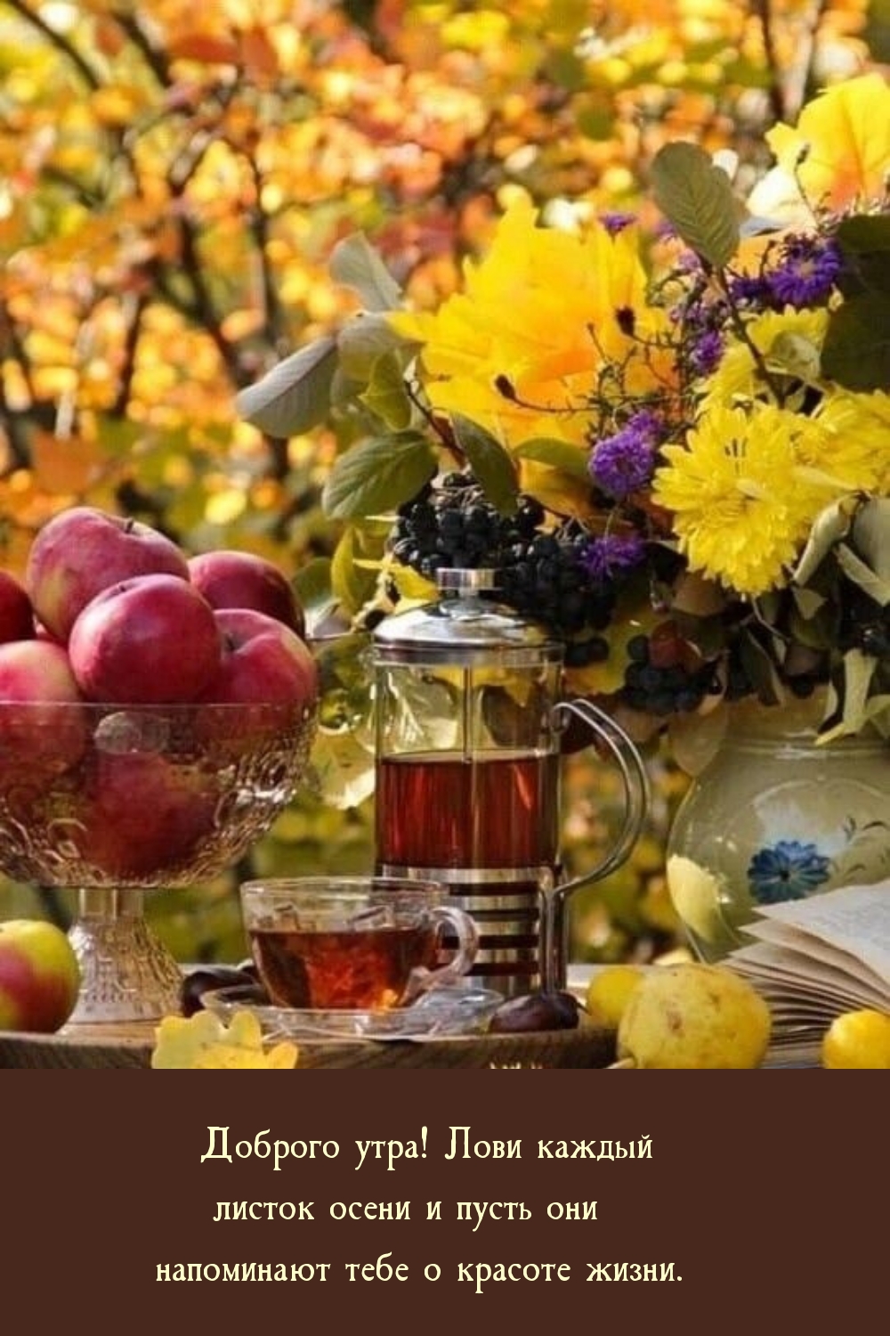 Доброго утра! Лови каждый листок осени