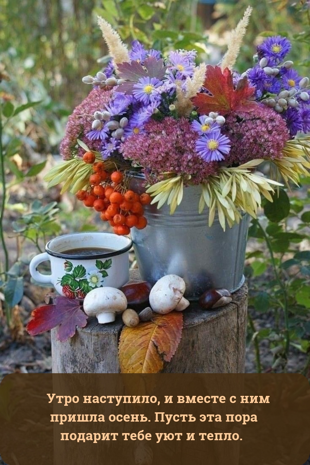 Утро наступило, и вместе с ним пришла осень.