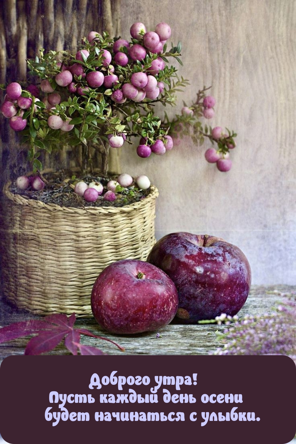 Доброго утра! Пусть каждый день осени будет начинаться с улыбки. 