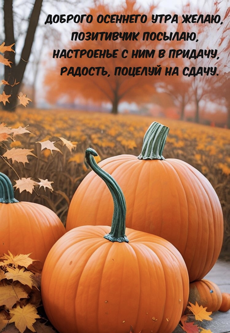 Доброго осеннего утра желаю, позитивчик посылаю