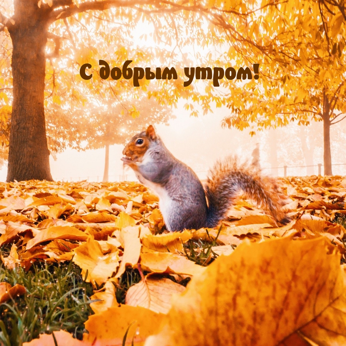 С добрым утром!