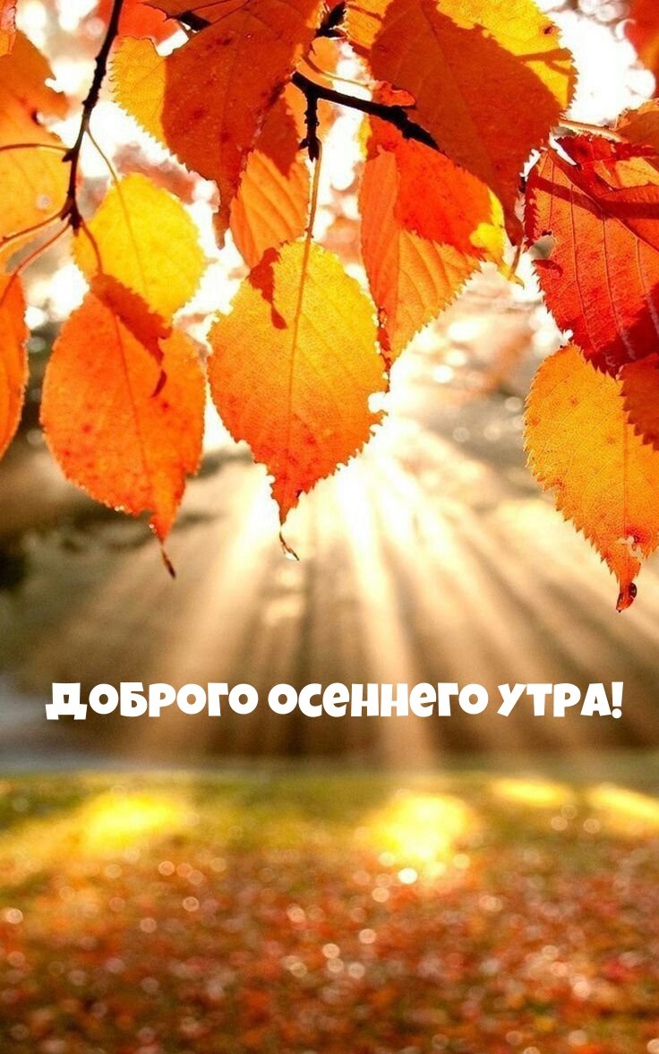 Доброго осеннего утра!