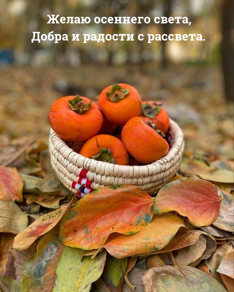 Желаю осеннего света, добра и радости с рассвета.