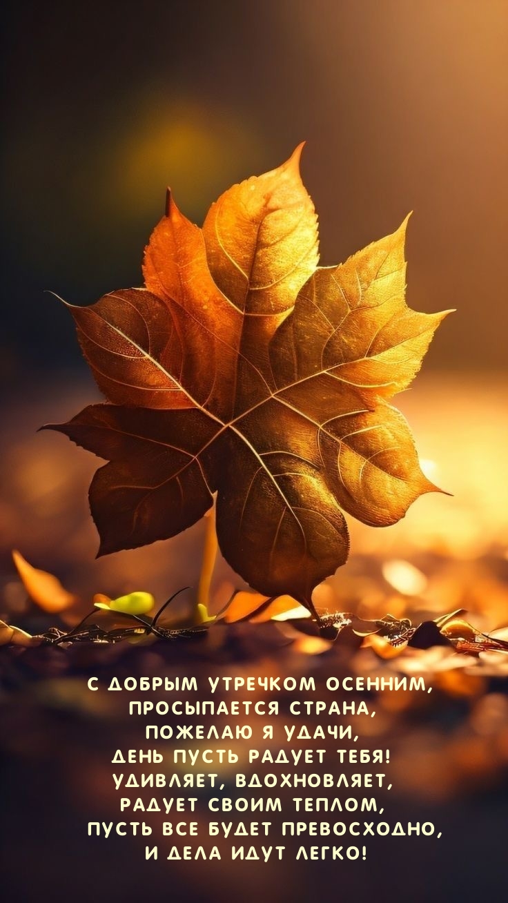 С добрым утречком осенним, просыпается страна