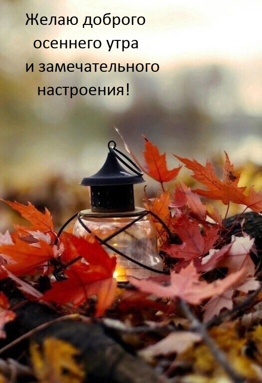 Желаю доброго осеннего утра и замечательного настроения!