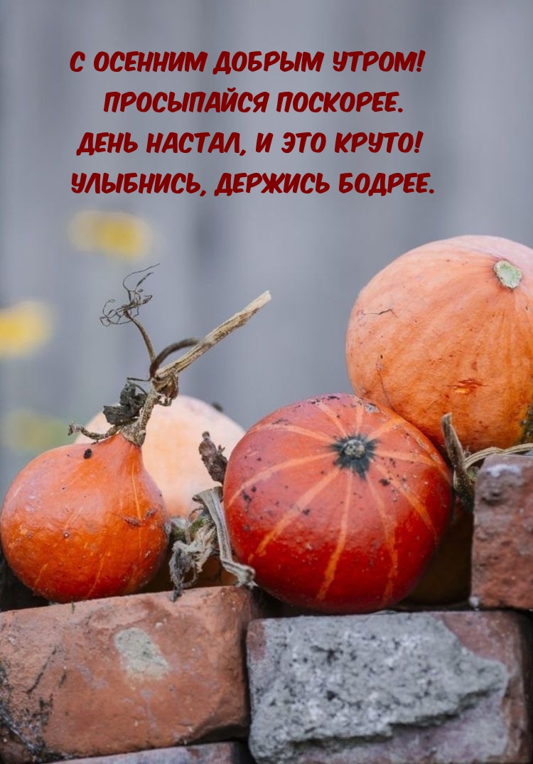 С осенним добрым утром! Просыпайся поскорее.