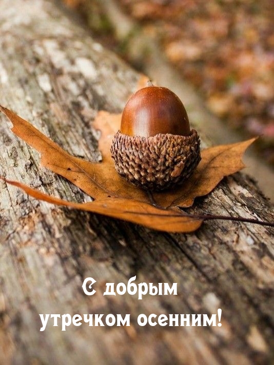 С добрым утречком осенним!