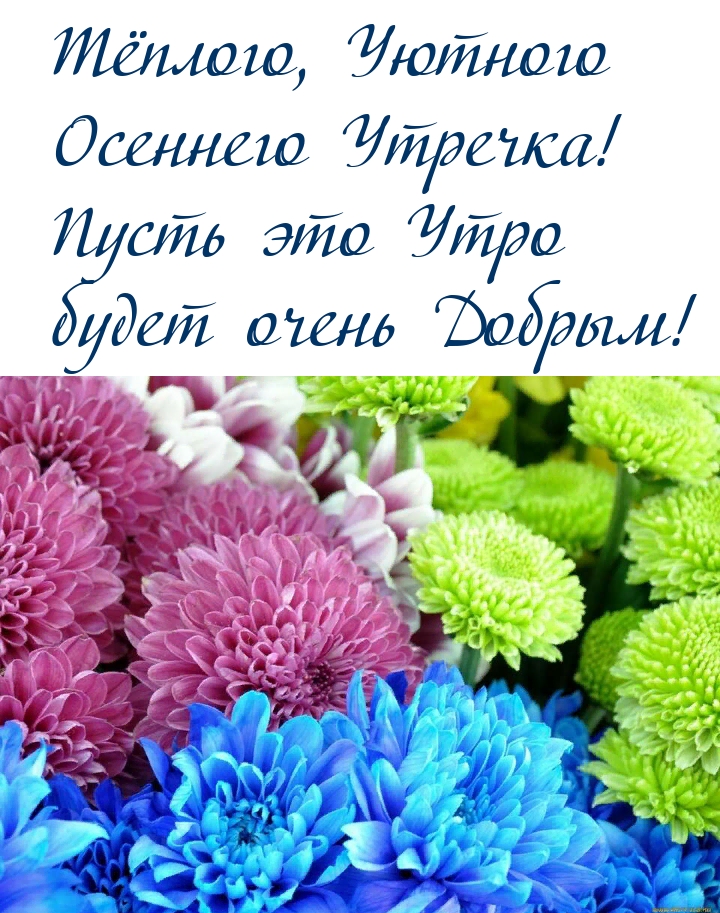 Тёплого, Уютного осеннего Утречка!