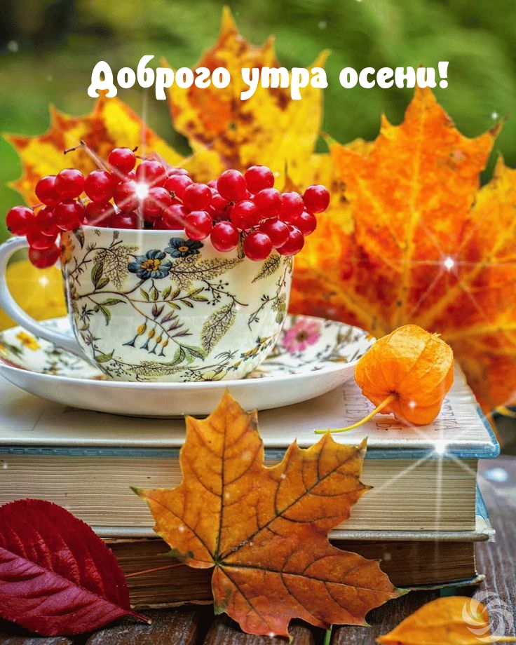 Доброго утра осени!