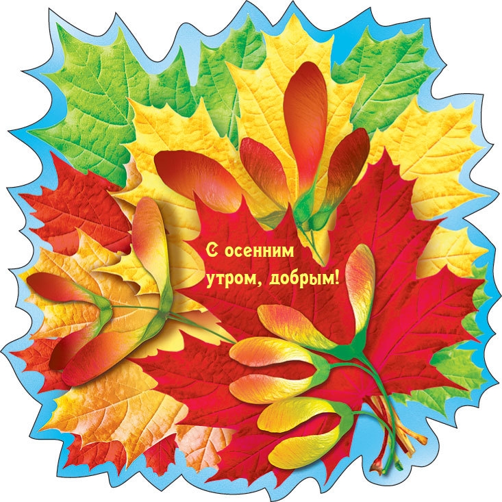 С осенним утром, добрым!