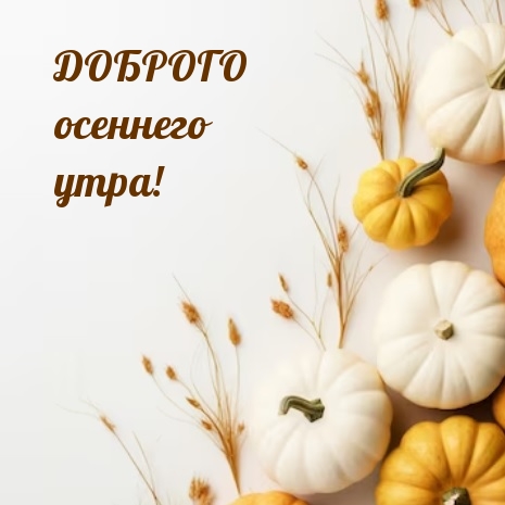 Доброго осеннего утра!