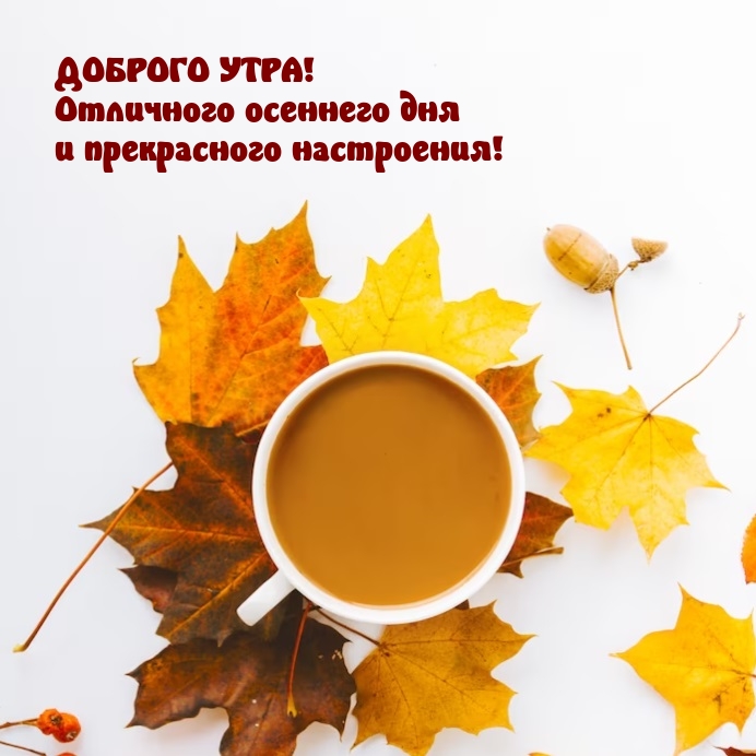 Доброго утра! Отличного осеннего дня и прекрасного настроения!