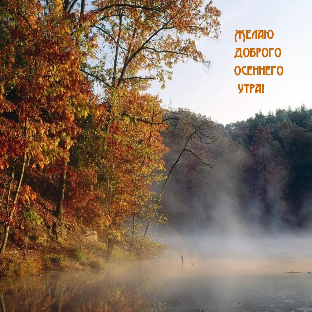 Желаю доброго осеннего утра!